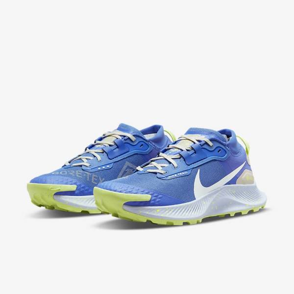 Dámské Běžecké Boty Nike Pegasus Trailové 3 GORE-TEX Nepromokavé Trailové Blankyt Hnědé Šedé | NK086XJD