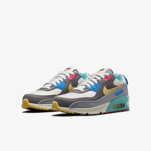 Dětské Tenisky Nike Air Max 90 Older Šedé Růžové | NK397HLU