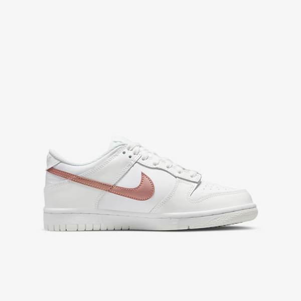 Dětské Tenisky Nike Dunk Low Older Bílé Metal Červené Hnědé | NK256BJF