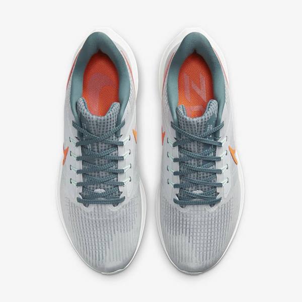 Pánské Běžecké Boty Nike Air Zoom Pegasus 39 Silniční Platina Oranžové | NK928FYG