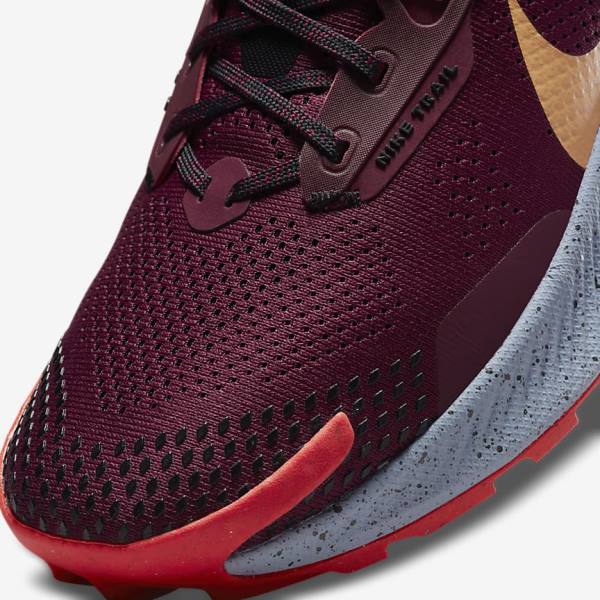 Pánské Běžecké Boty Nike Pegasus Trailové 3 Trailové Černé Světle Červené Hnědé | NK281AVT