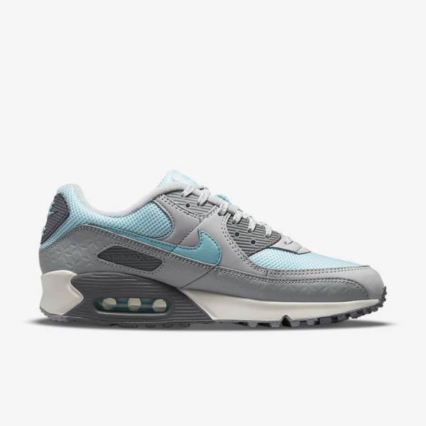 Pánské Tenisky Nike Air Max 90 Šedé Platina | NK075ECD