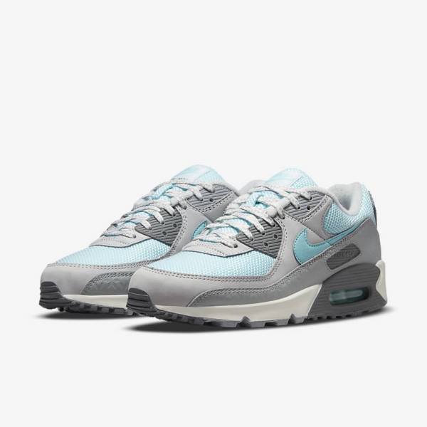 Pánské Tenisky Nike Air Max 90 Šedé Platina | NK075ECD