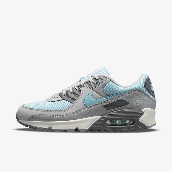 Pánské Tenisky Nike Air Max 90 Šedé Platina | NK075ECD