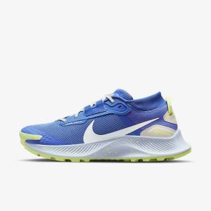 Dámské Běžecké Boty Nike Pegasus Trailové 3 GORE-TEX Nepromokavé Trailové Blankyt Hnědé Šedé | NK086XJD