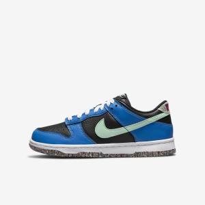 Dětské Tenisky Nike Dunk Low SE Older Černé Světle Blankyt Růžové Mátově Zelená | NK731EIR