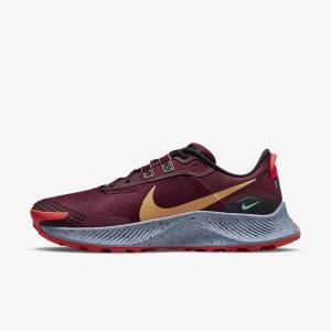 Pánské Běžecké Boty Nike Pegasus Trailové 3 Trailové Černé Světle Červené Hnědé | NK281AVT